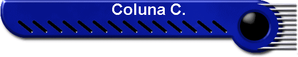 Coluna C.